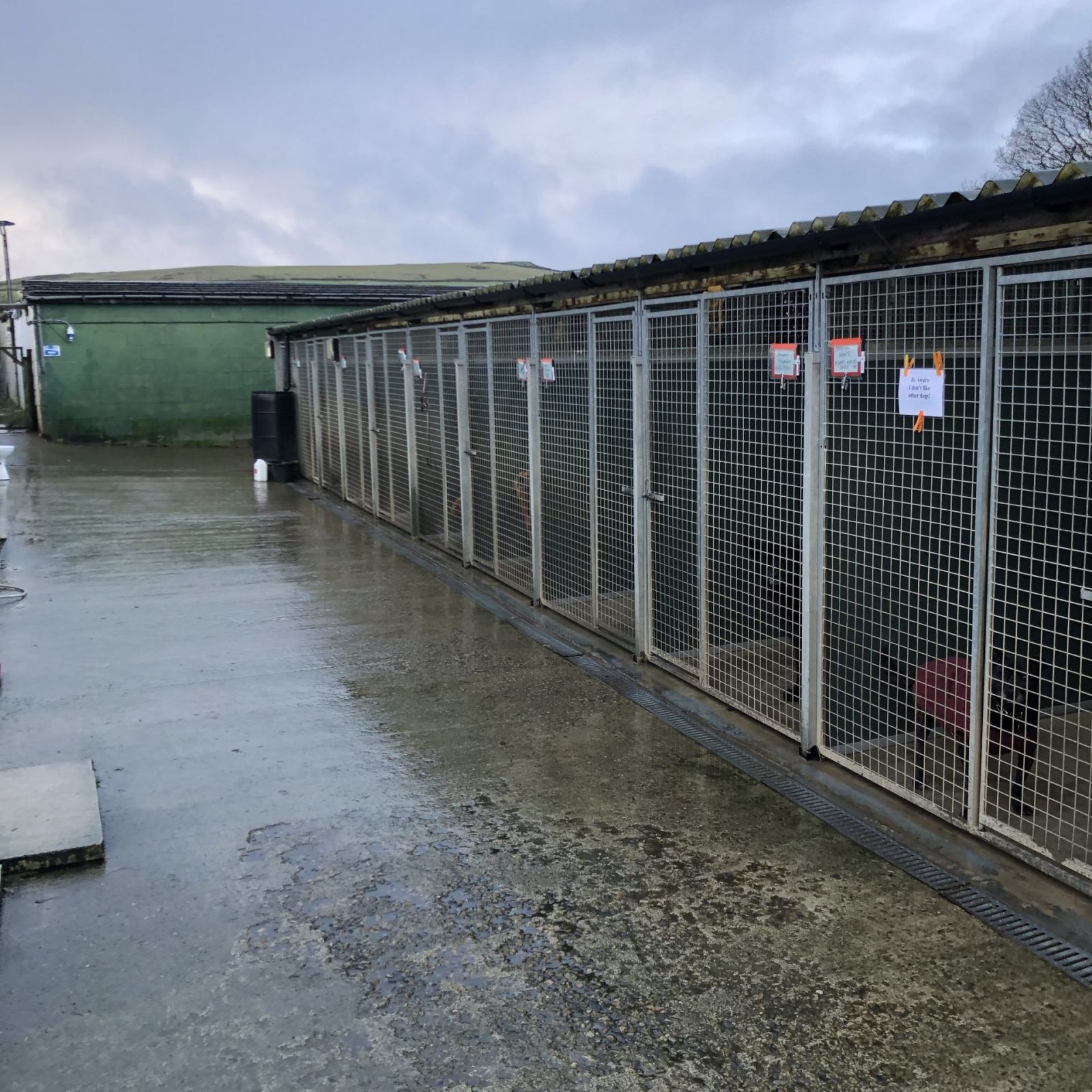 About Sunnymead Kennels & Cattery