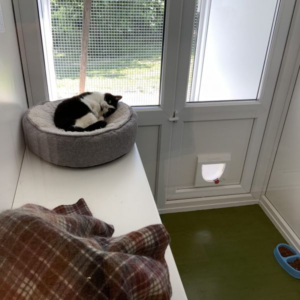 Sunnymead Kennels & Cattery
